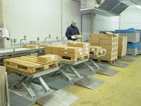 EdmoLift masa hidraulica Inox pentru industria alimentara.